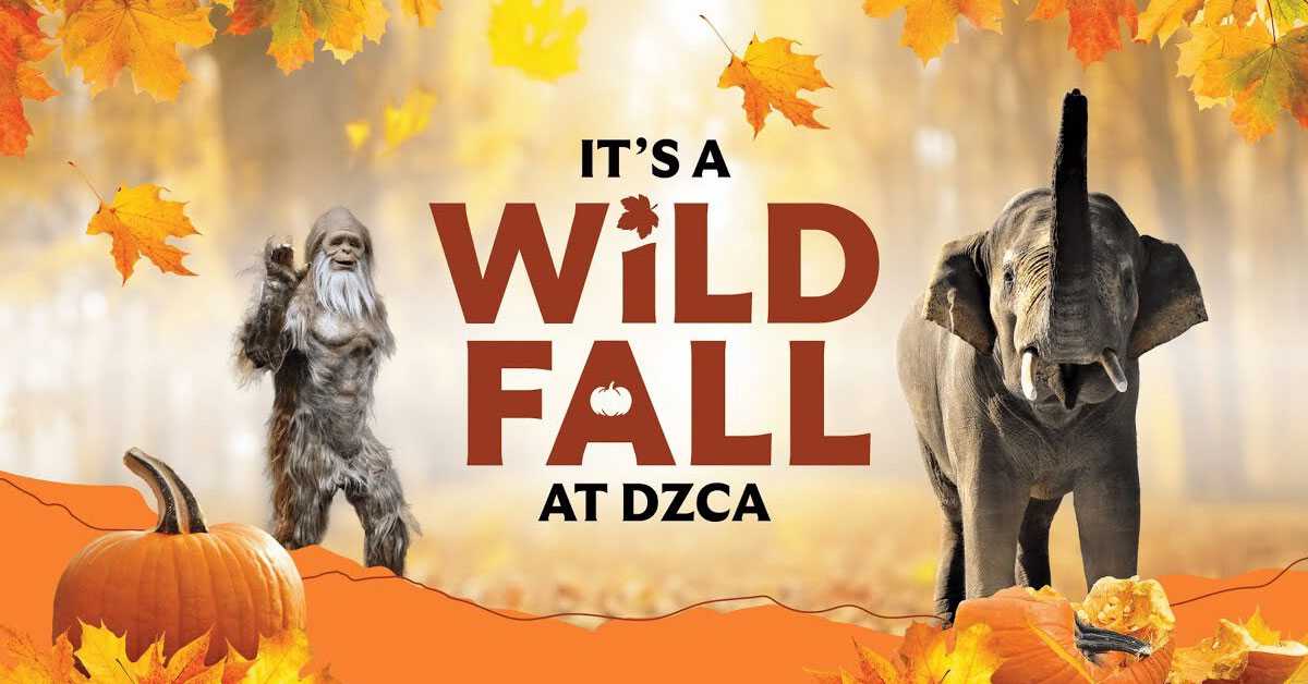 Fall at DZCA - Denver Zoo Conservation Alliance Fall at DZCA - Denver Zoo Conservation Alliance